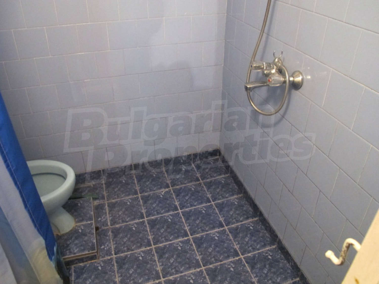 Gallery Picture 12