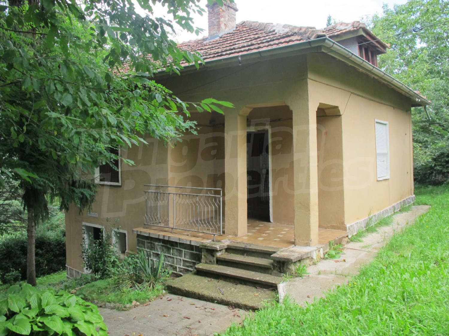 Gallery Picture 17