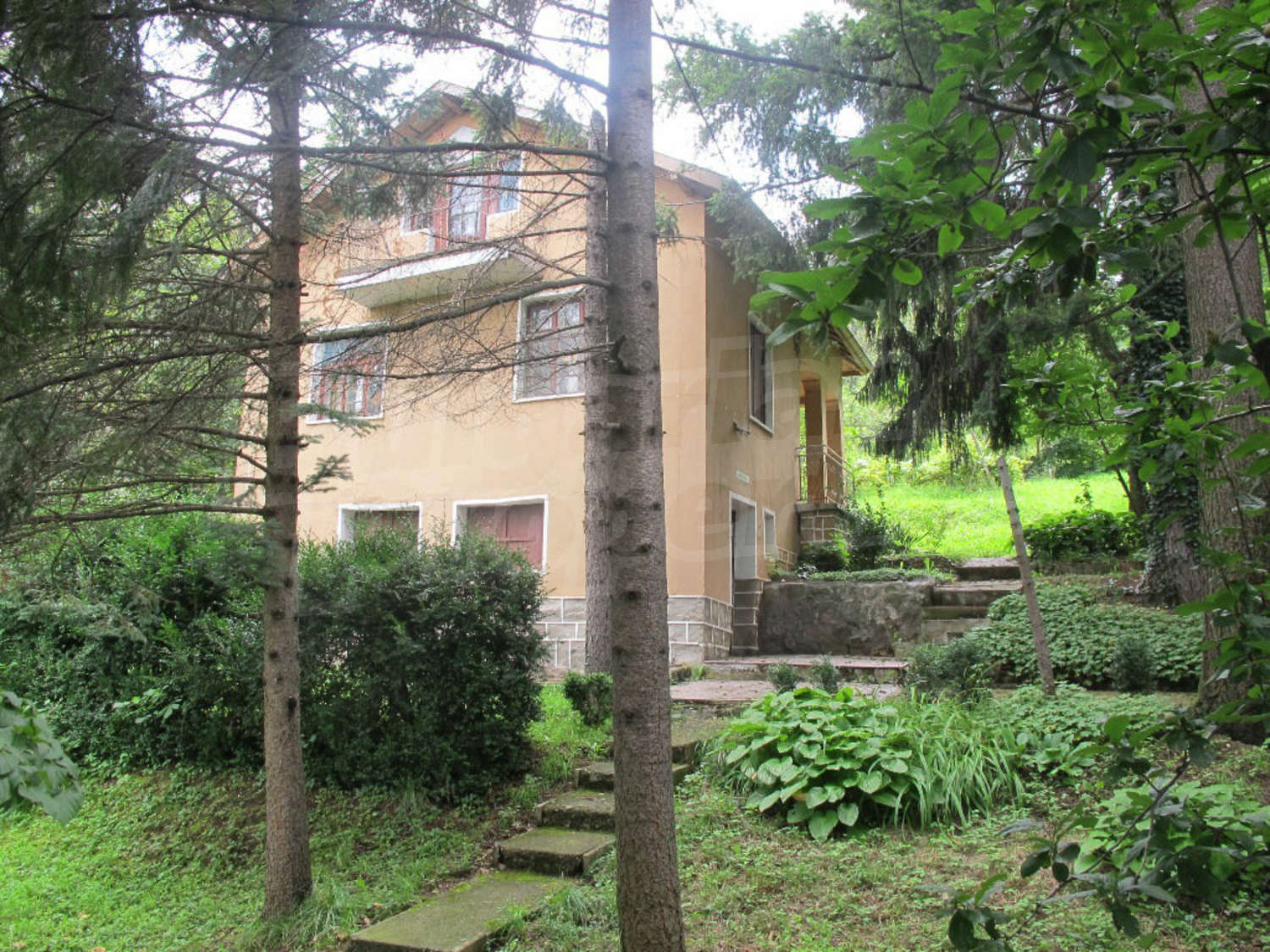 Gallery Picture 18