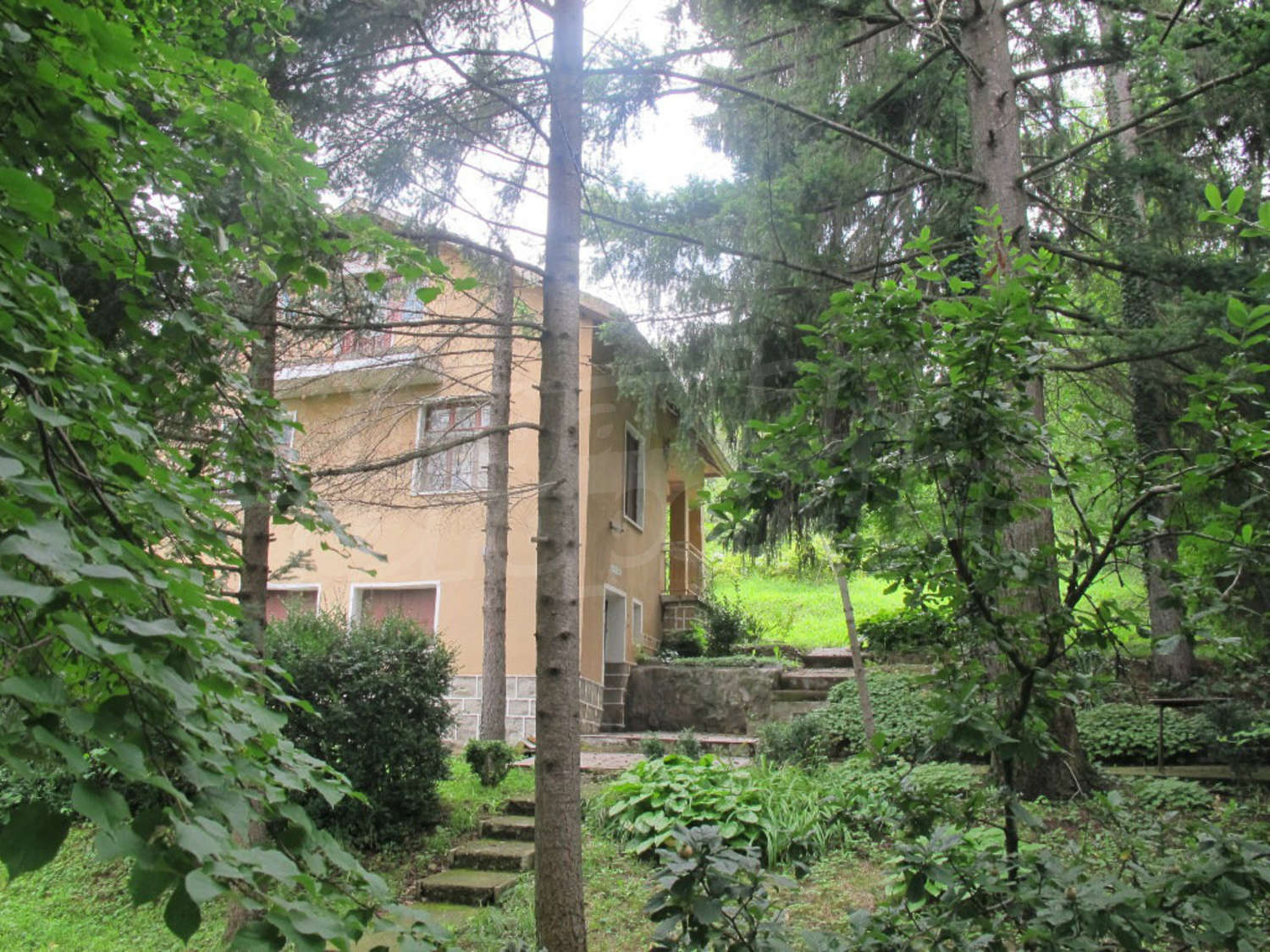 Gallery Picture 19