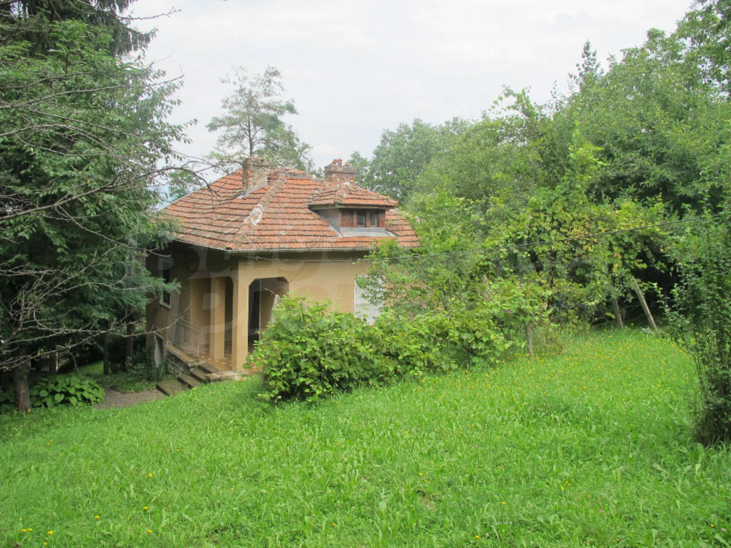 Gallery Picture 24