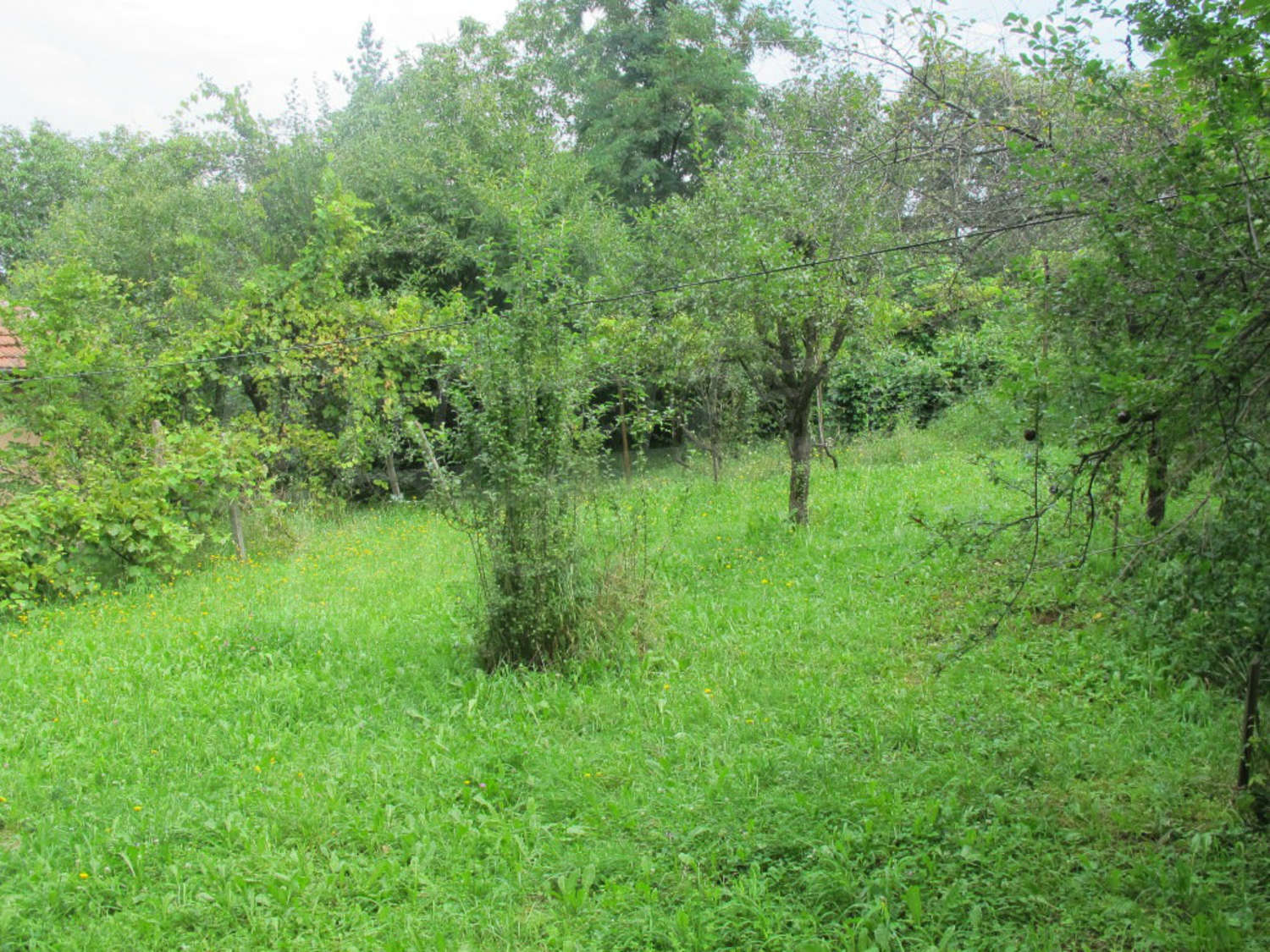 Gallery Picture 25