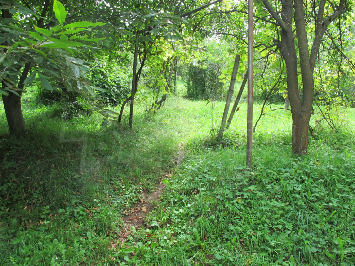 Gallery Picture 27