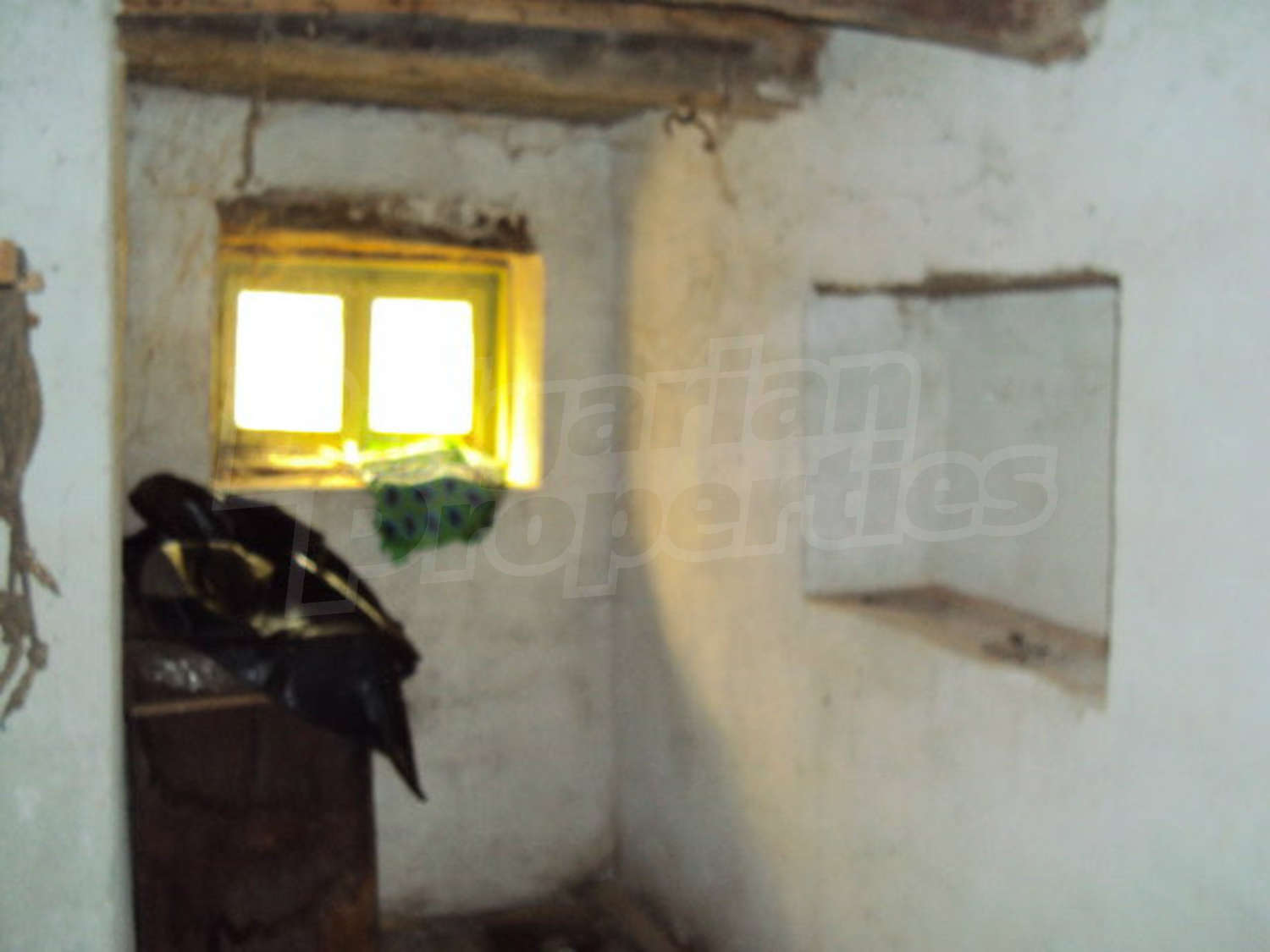 Gallery Picture 12