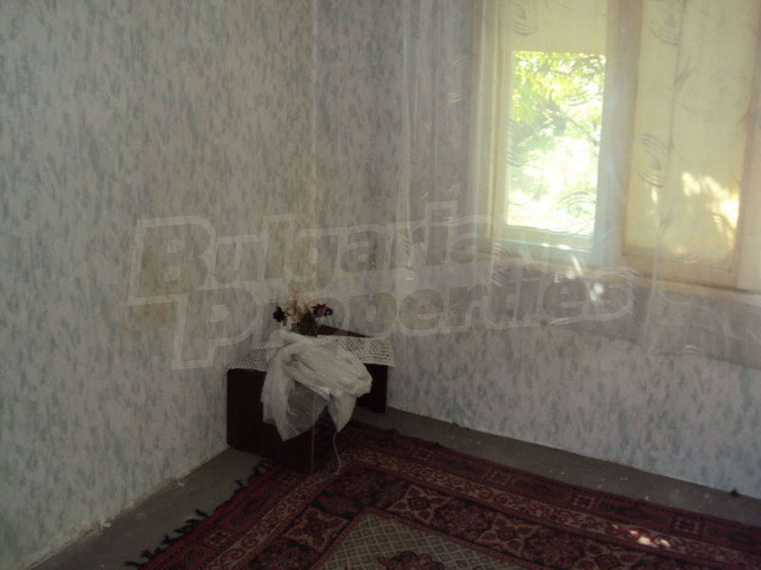 Gallery Picture 13