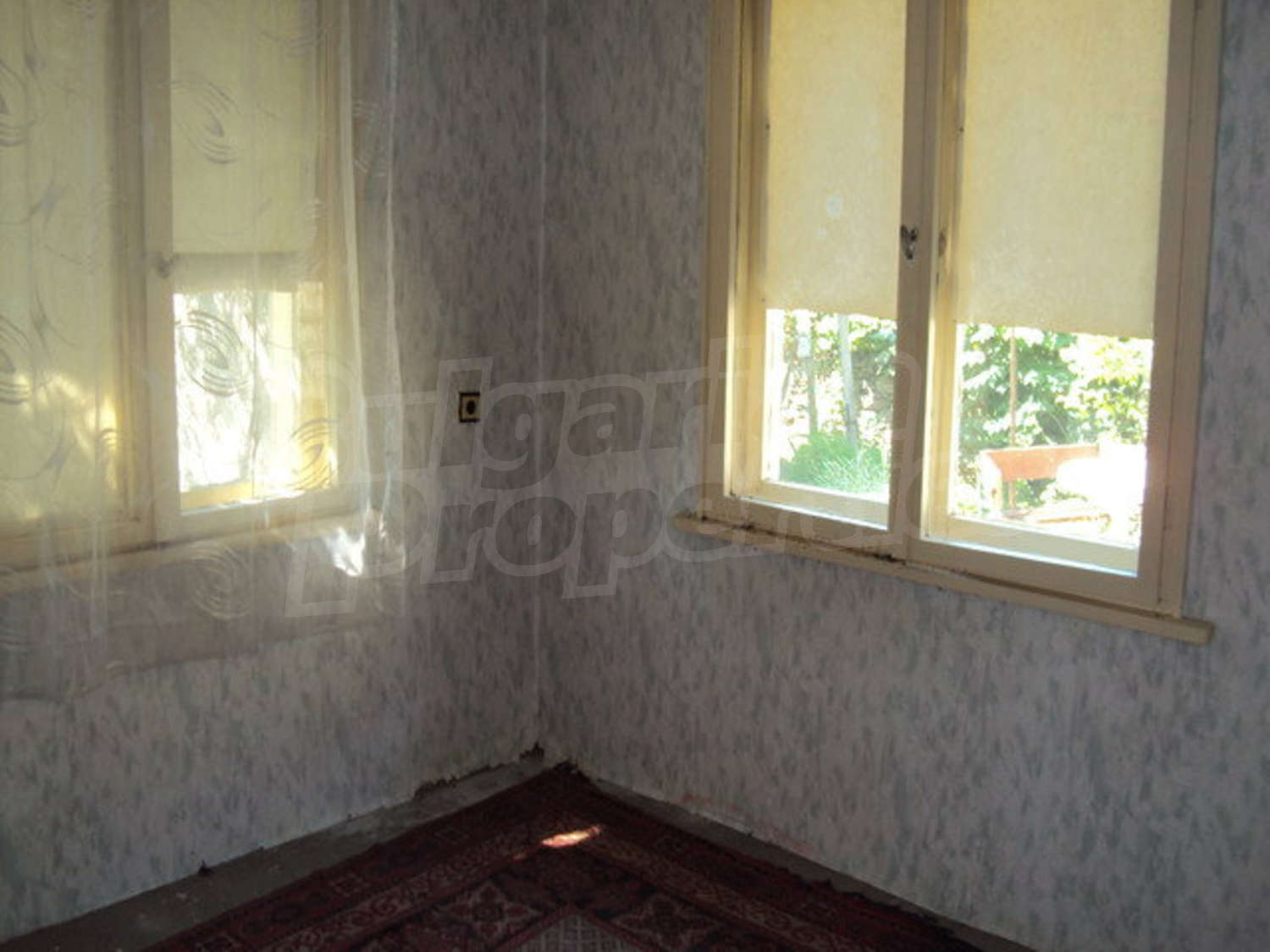 Gallery Picture 14