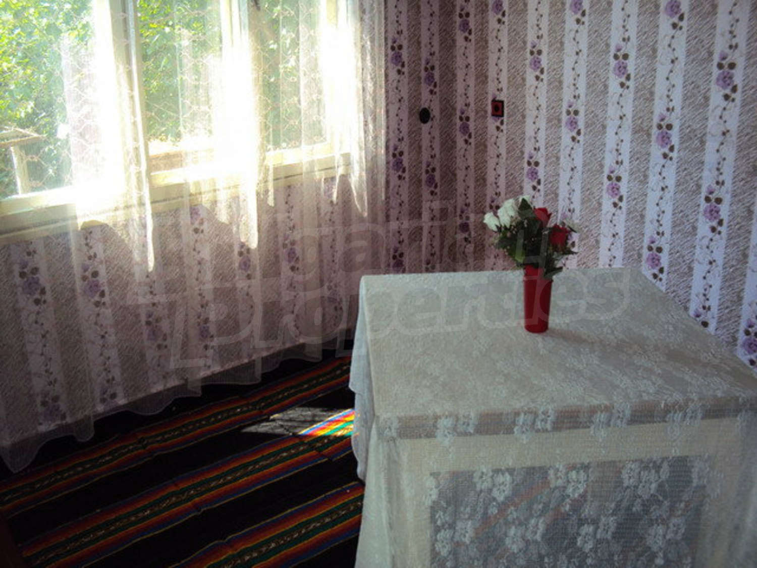 Gallery Picture 16