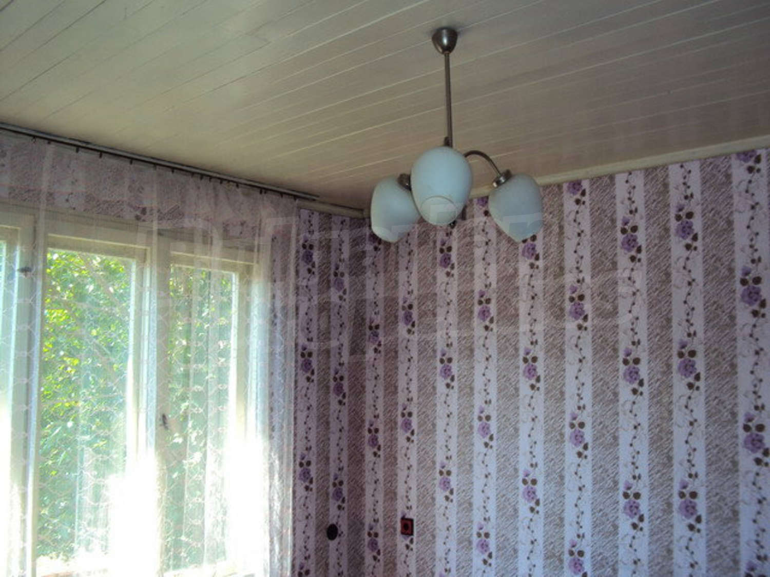 Gallery Picture 17