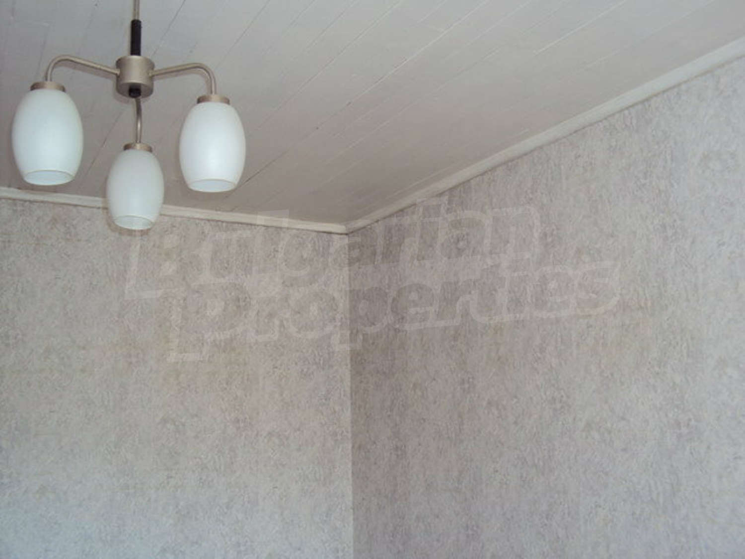 Gallery Picture 36