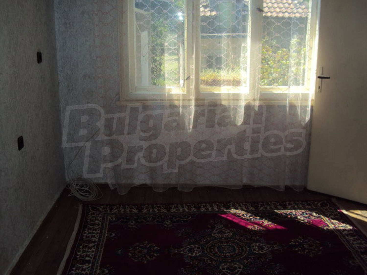 Gallery Picture 37