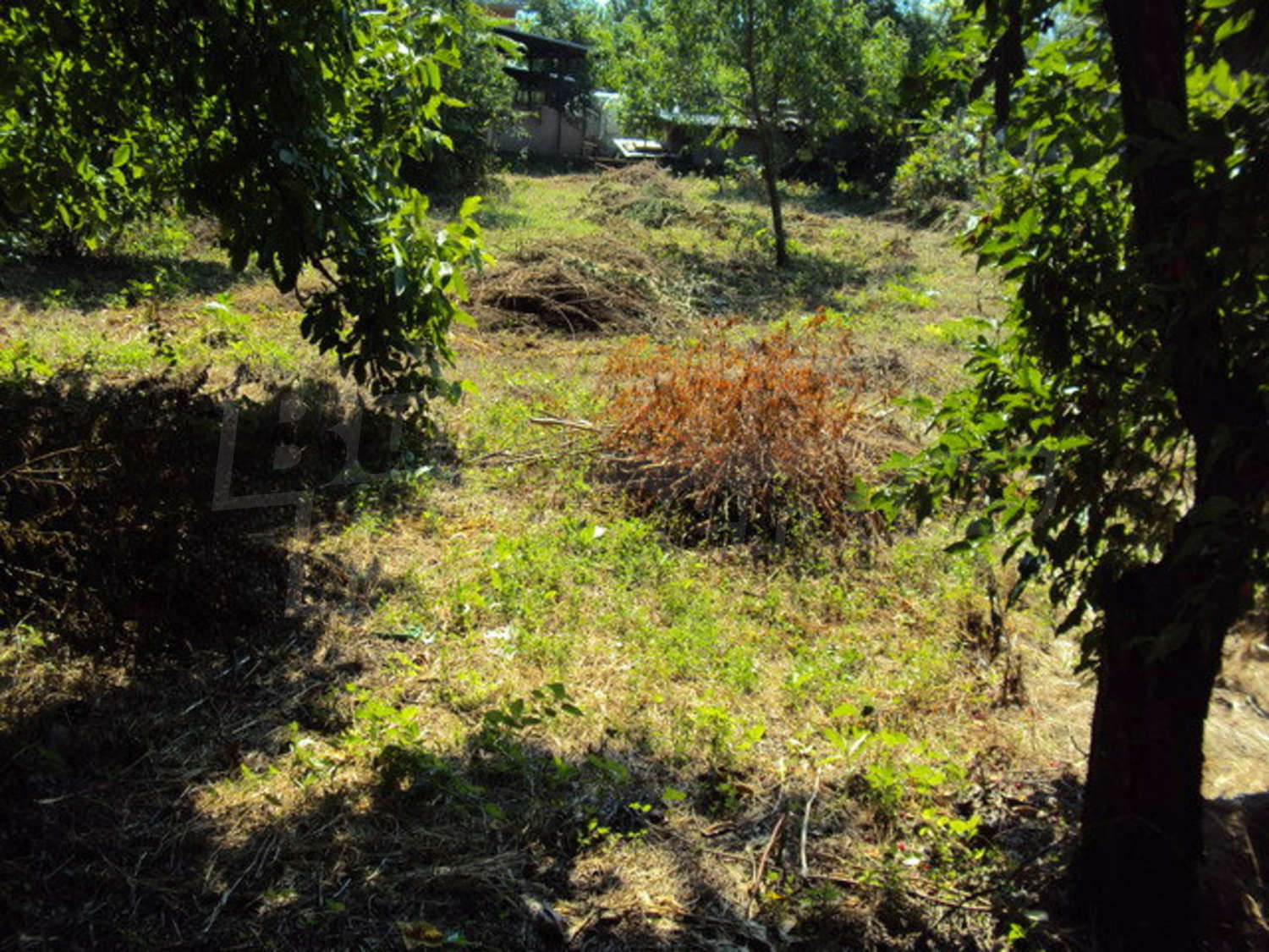 Gallery Picture 6