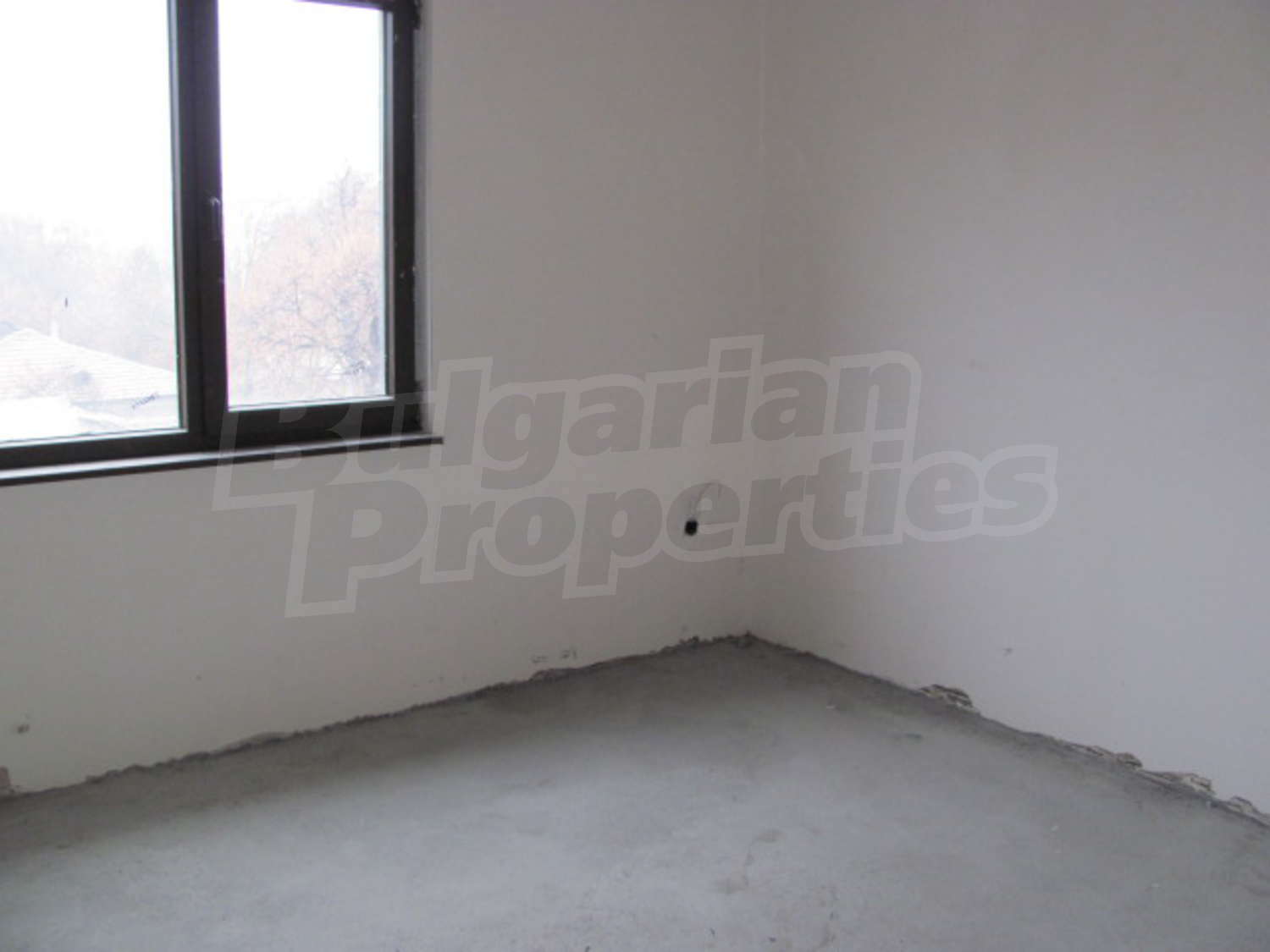 Gallery Picture 13