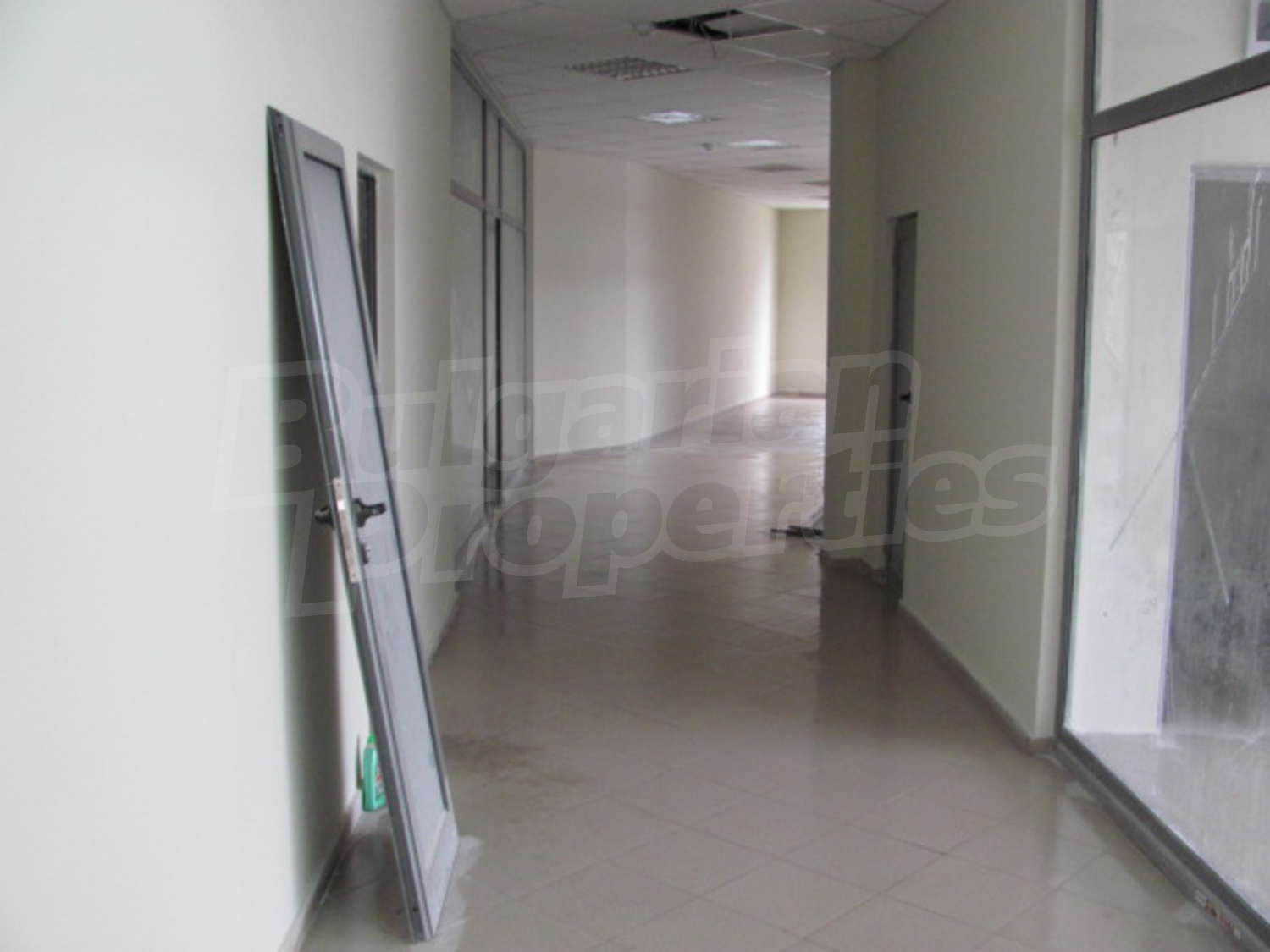 Gallery Picture 16