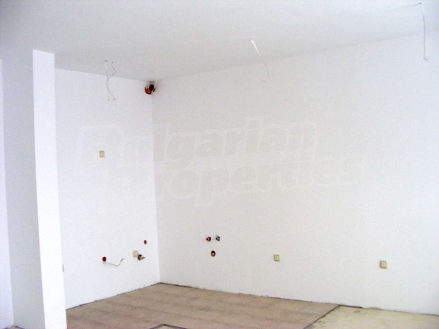 Gallery Picture 13