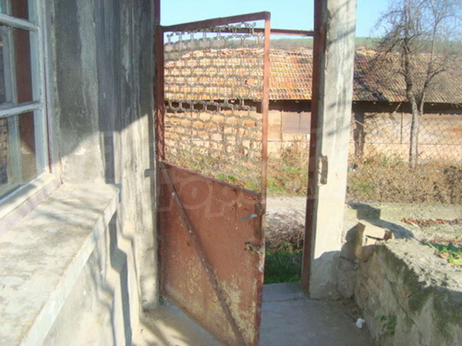 Gallery Picture 10