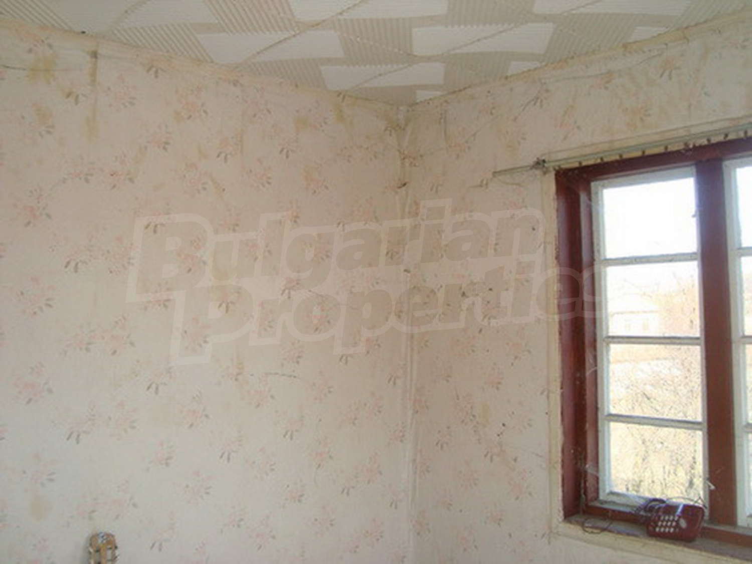 Gallery Picture 6