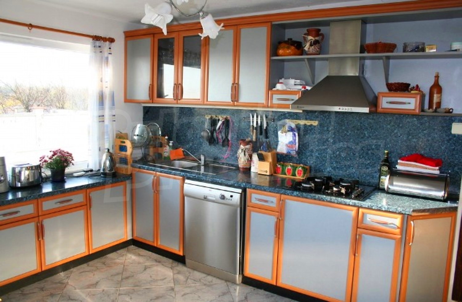 Gallery Picture 19