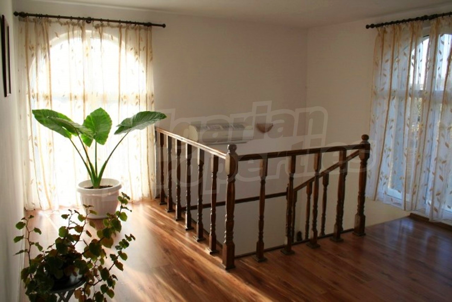 Gallery Picture 22