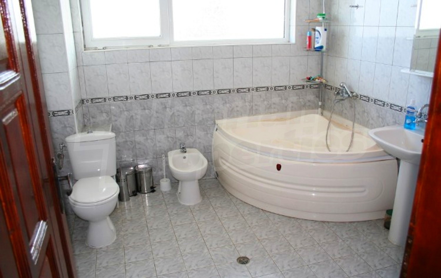 Gallery Picture 29