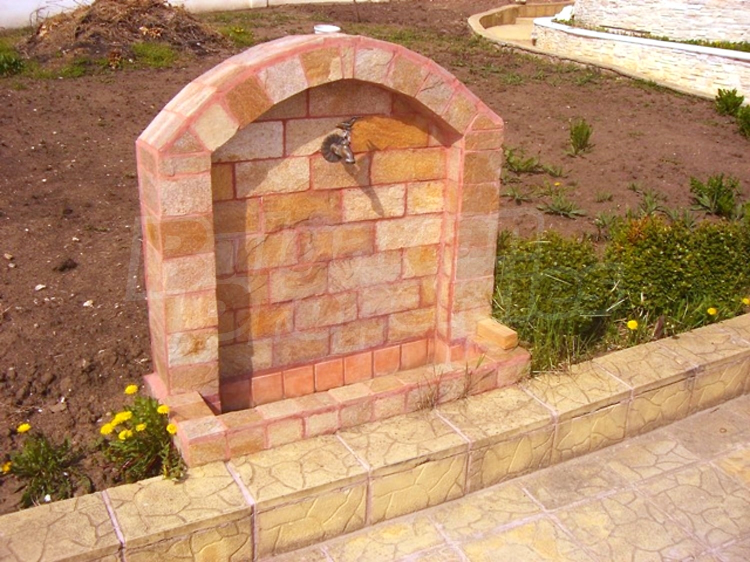 Gallery Picture 62