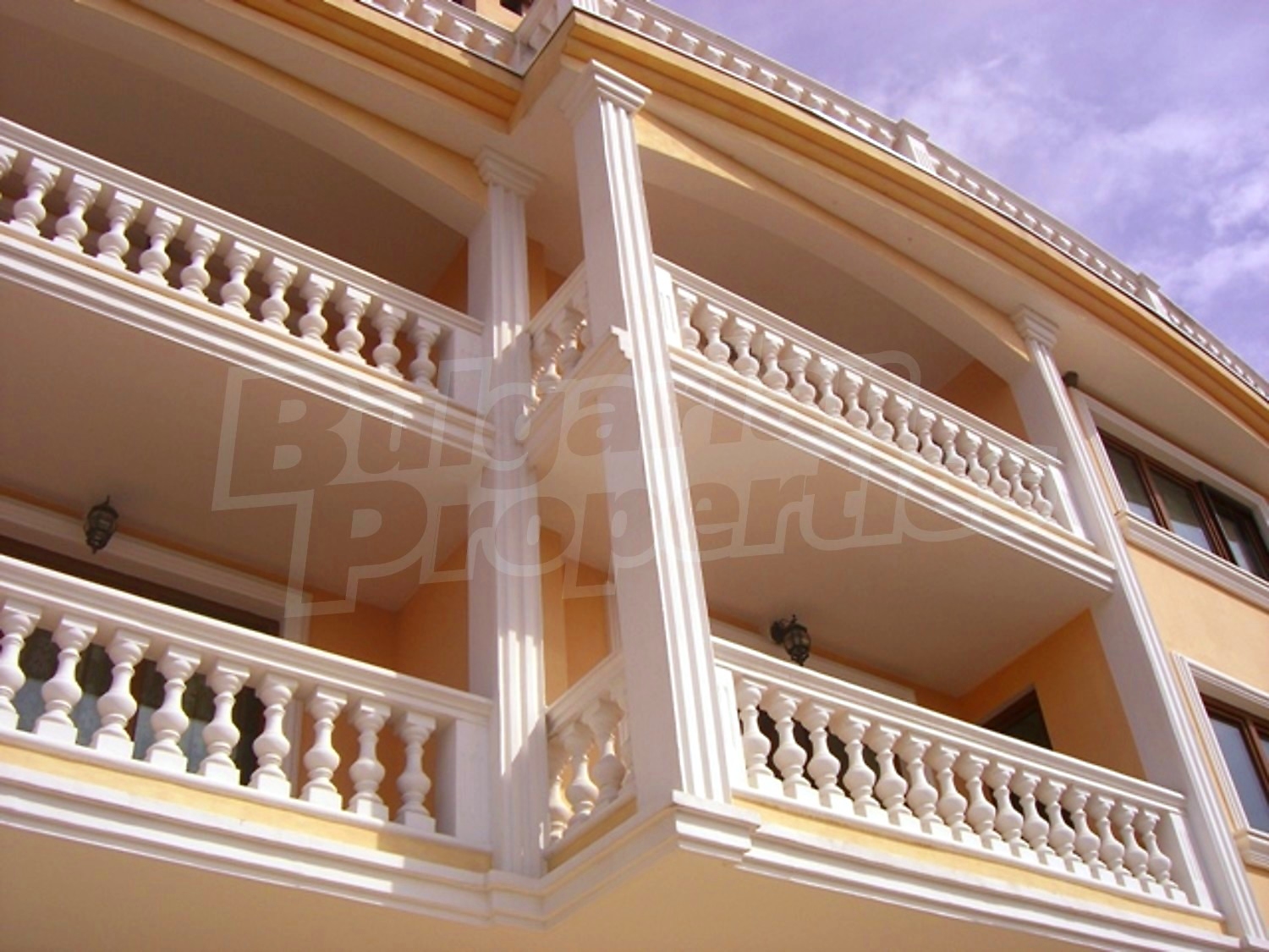 Gallery Picture 66