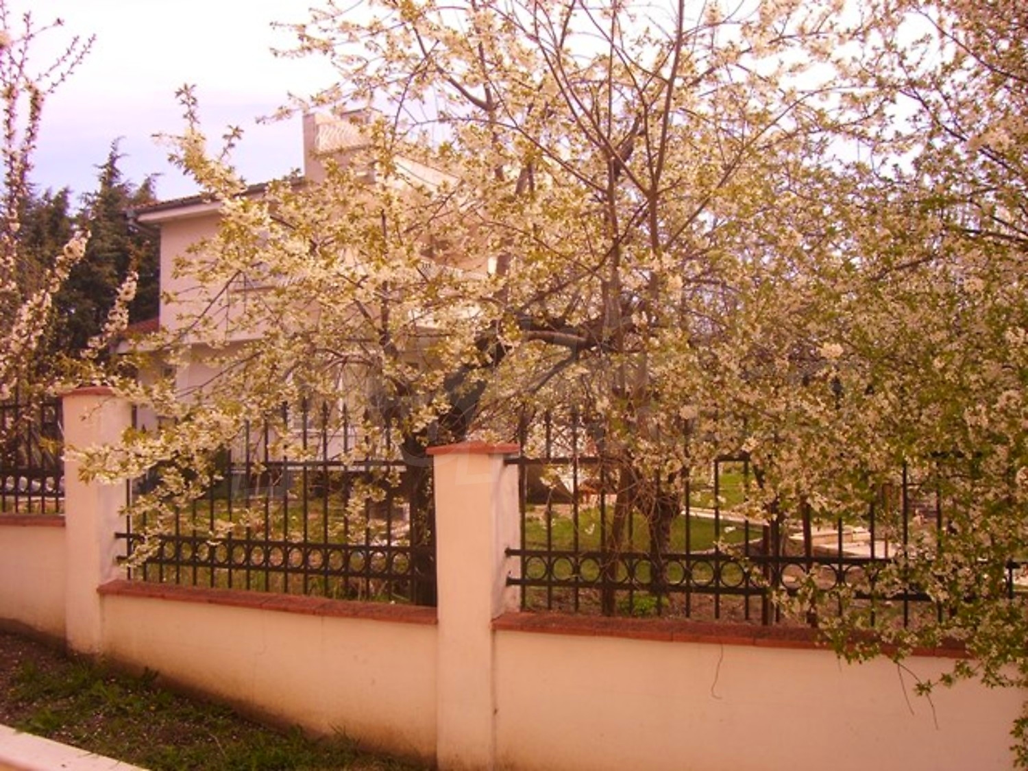 Gallery Picture 69