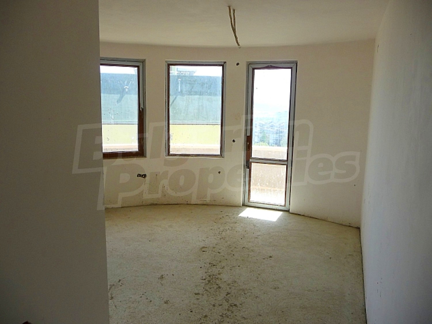 Gallery Picture 16