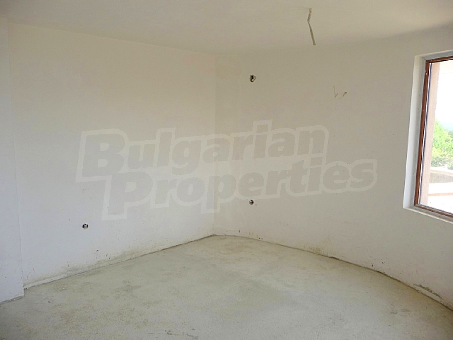 Gallery Picture 17