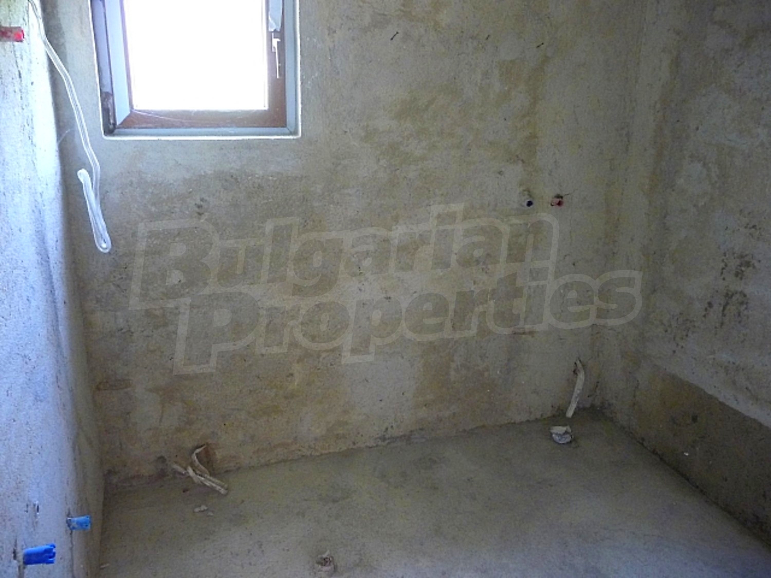 Gallery Picture 25