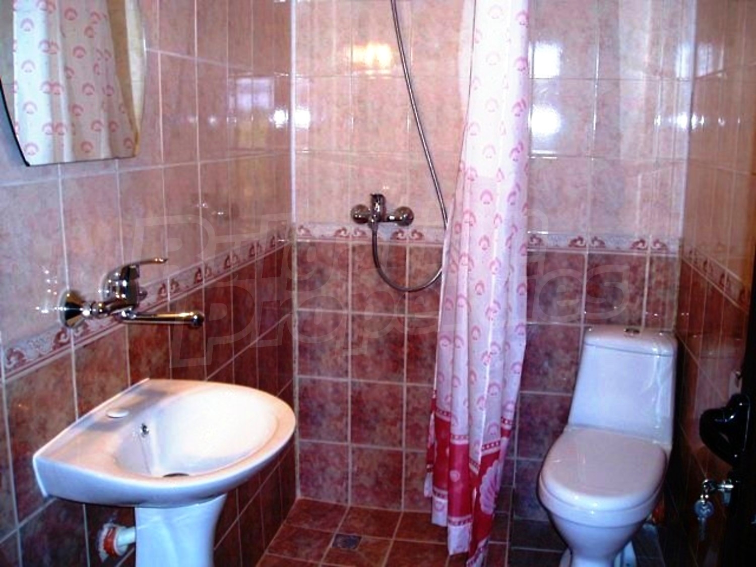 Gallery Picture 10