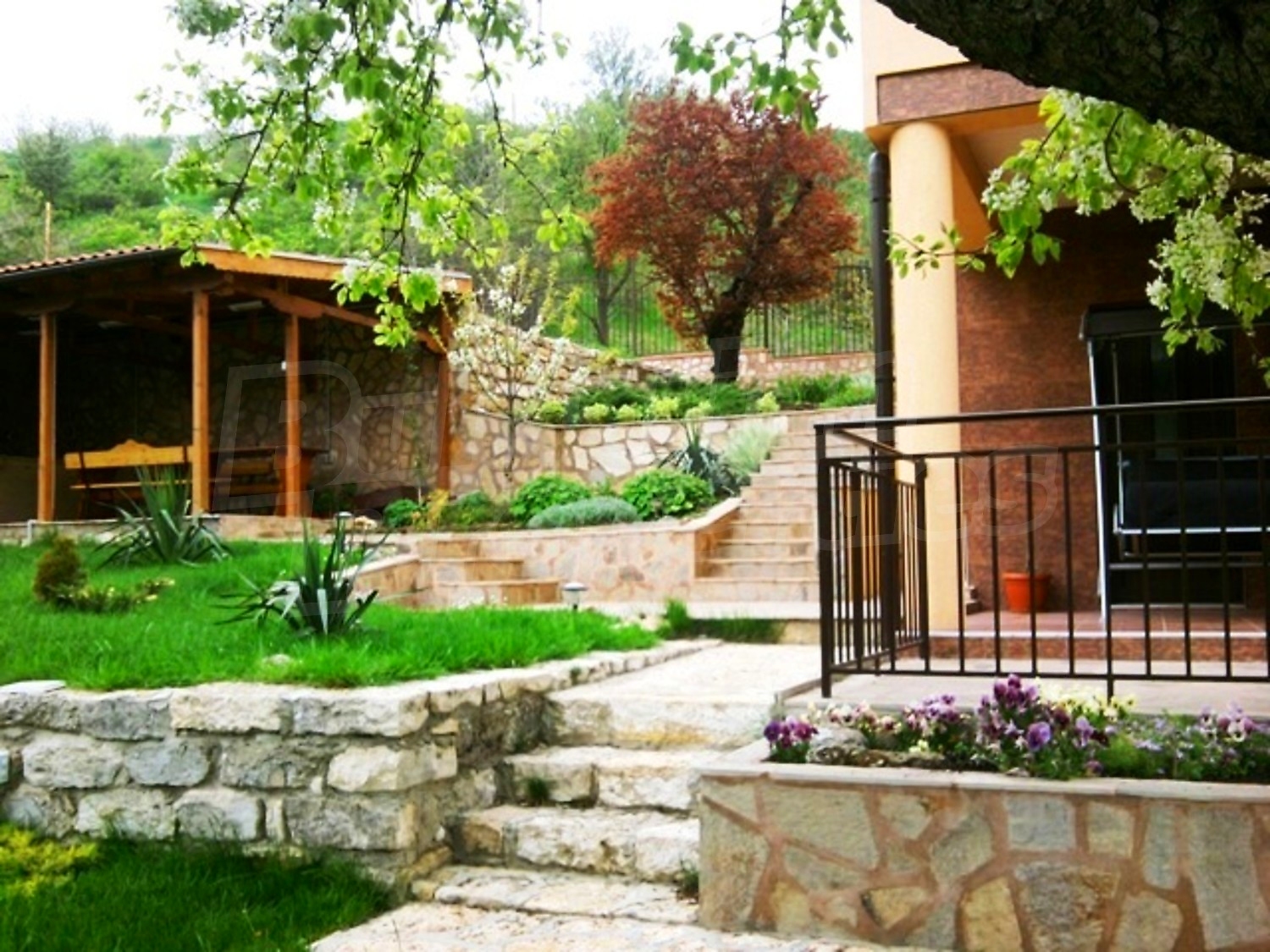 Gallery Picture 17