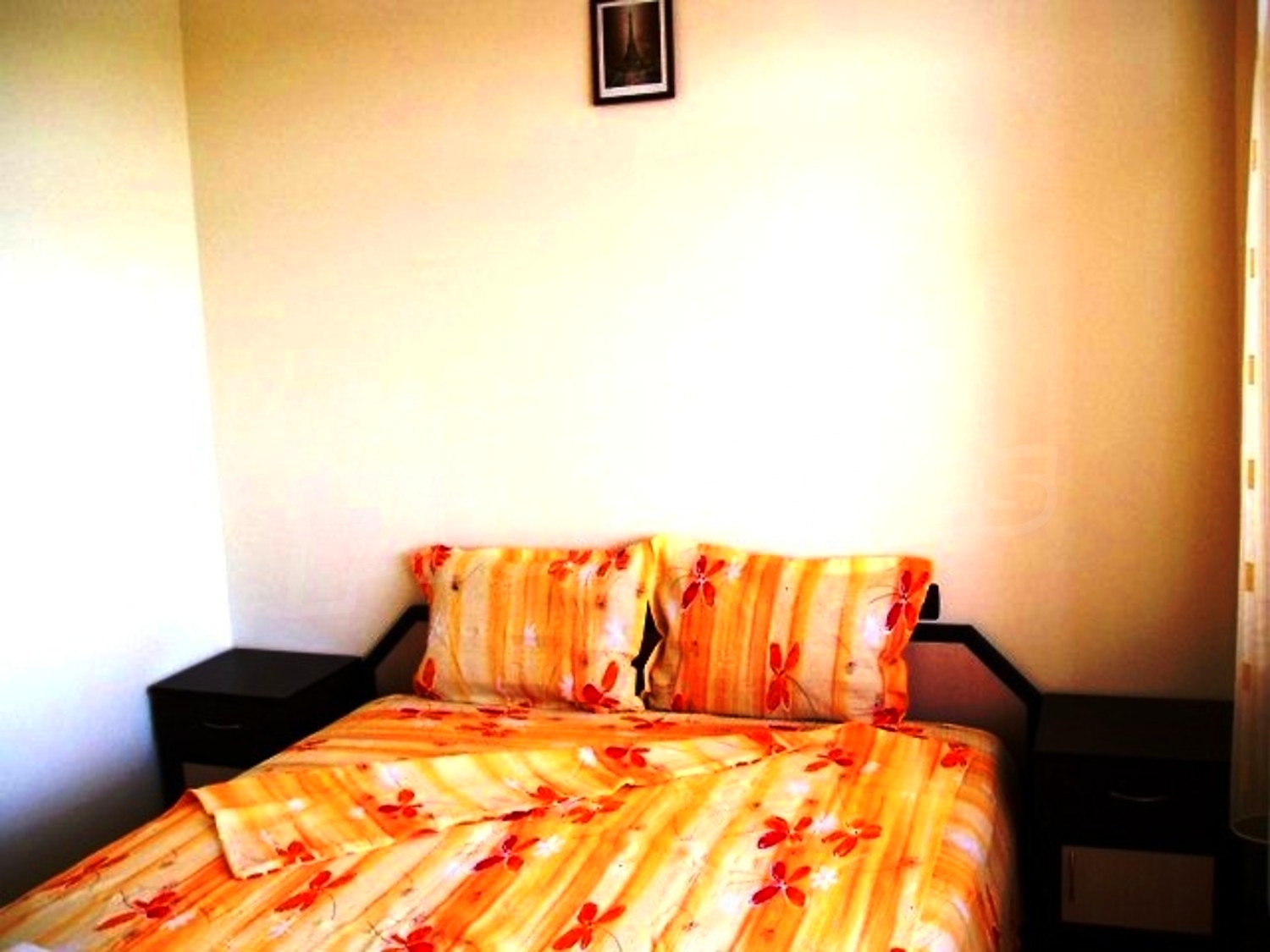 Gallery Picture 7