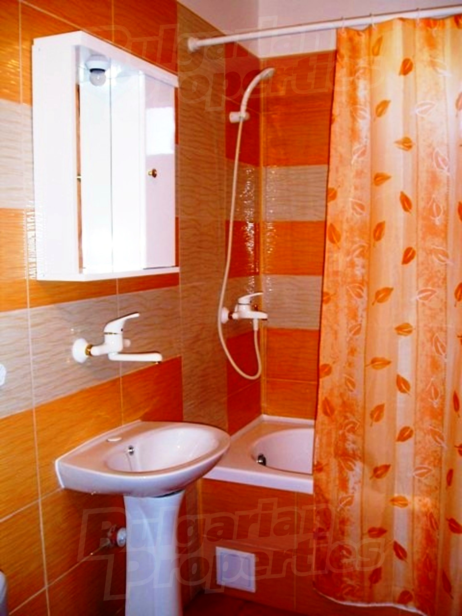 Gallery Picture 9