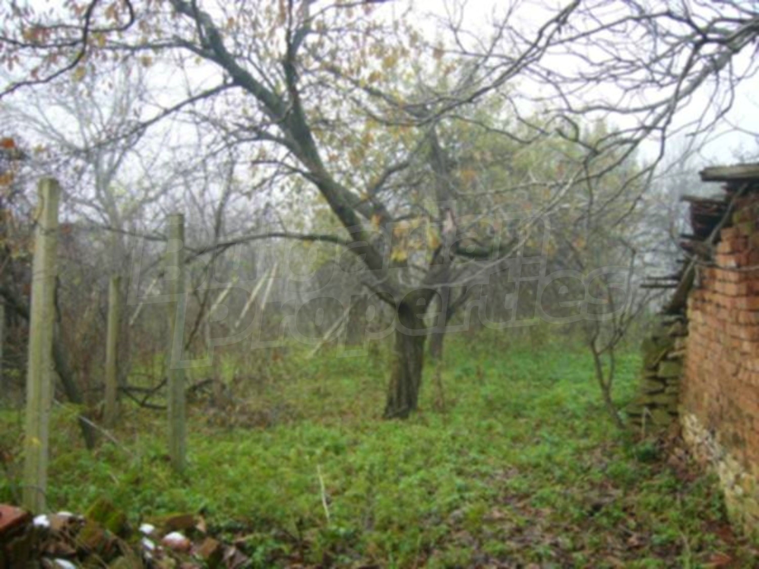 Gallery Picture 10