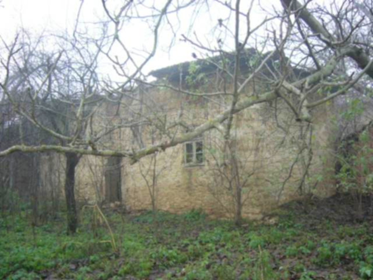Gallery Picture 4