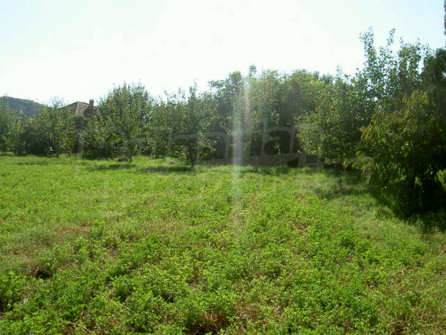 Gallery Picture 14