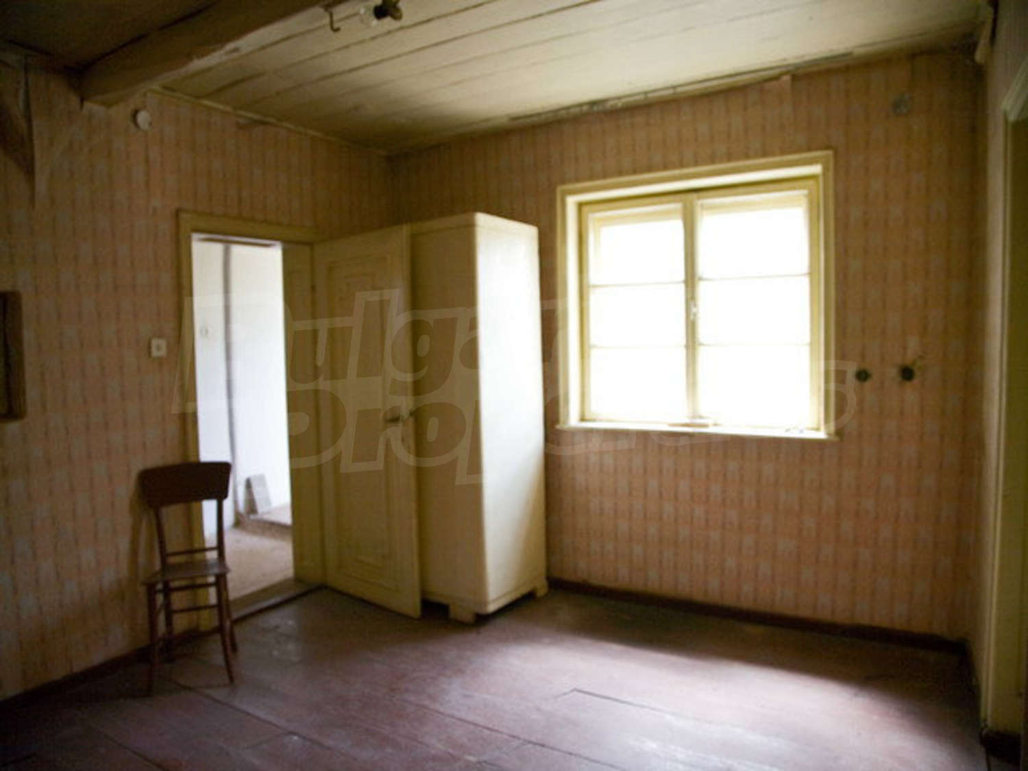 Gallery Picture 16