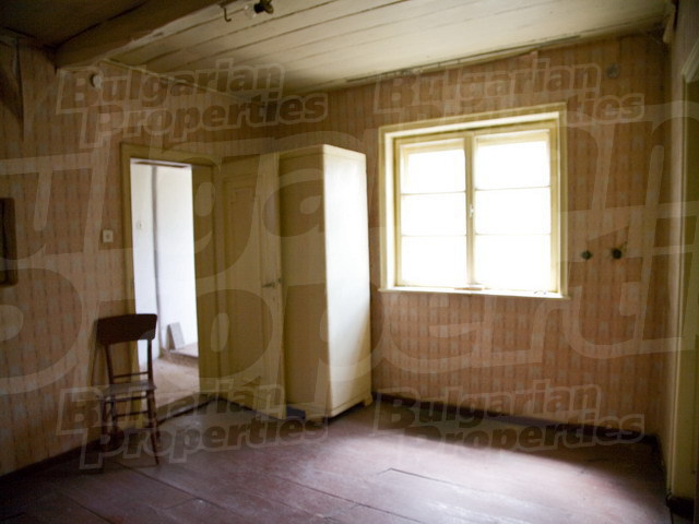 Gallery Picture 19