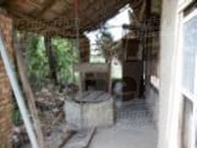 Gallery Picture 23
