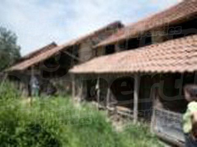 Gallery Picture 24