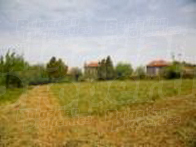 Gallery Picture 25