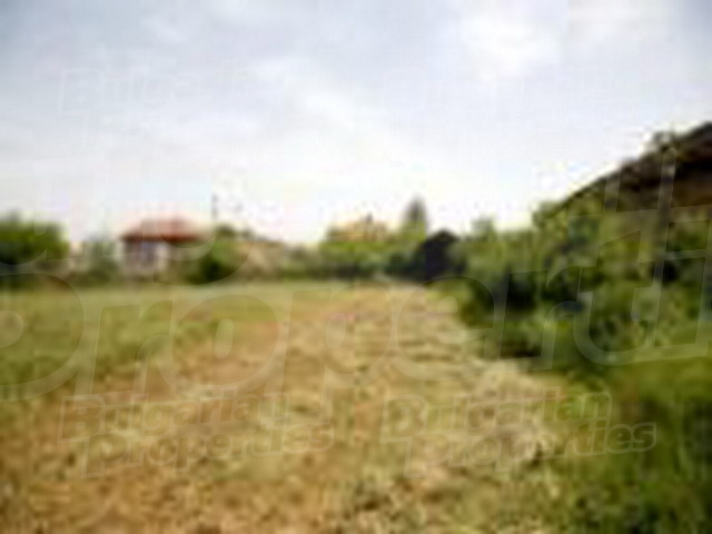 Gallery Picture 26