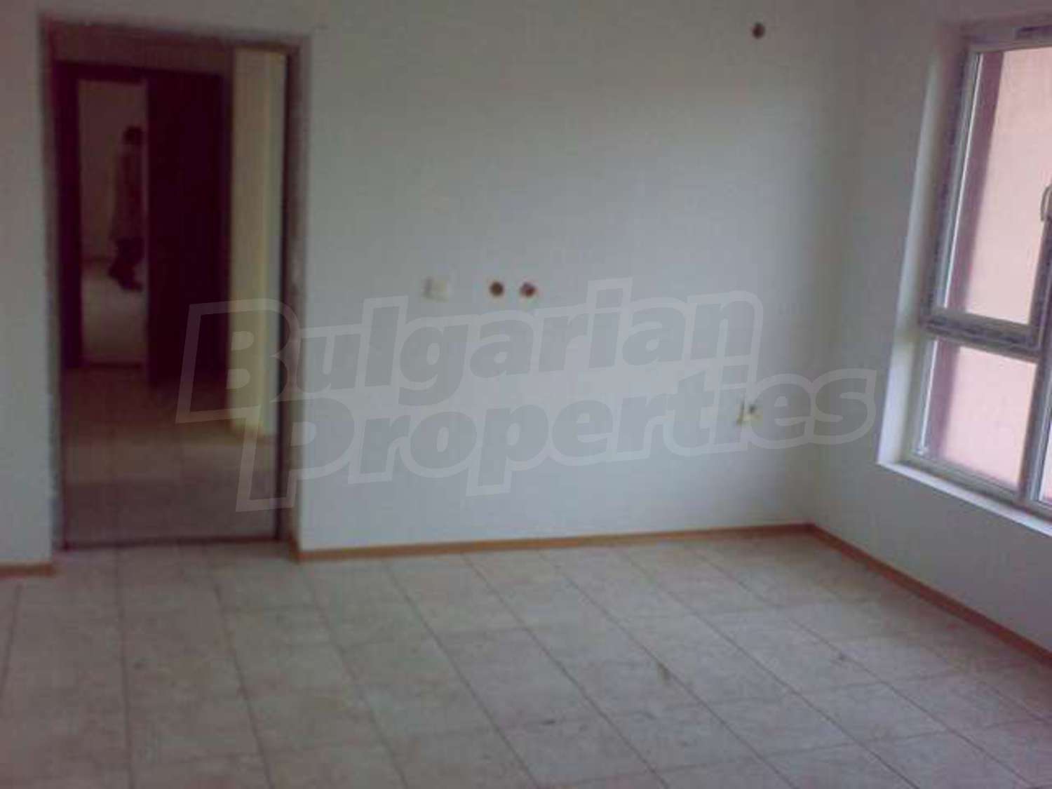 Gallery Picture 5