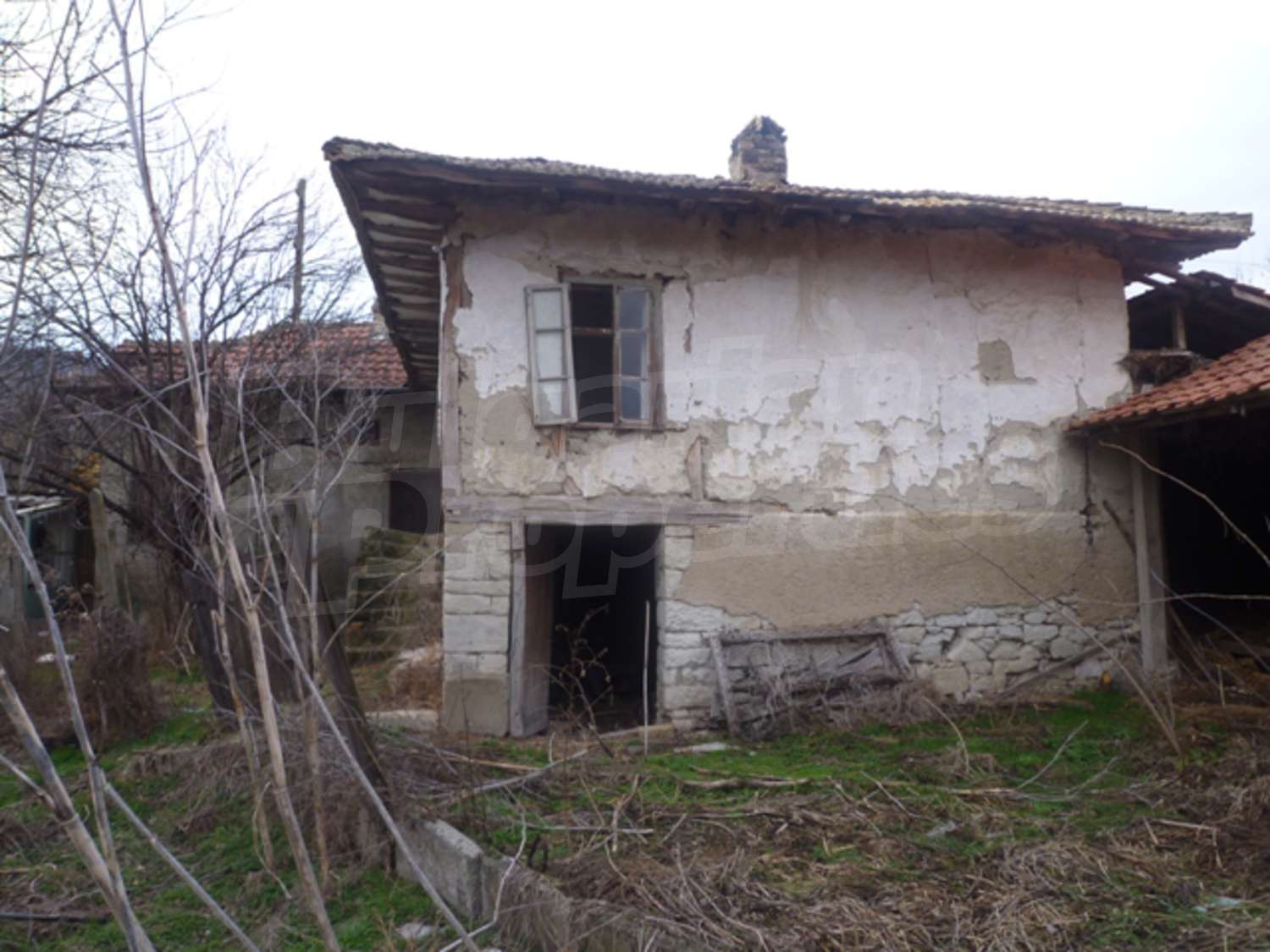 Gallery Picture 6