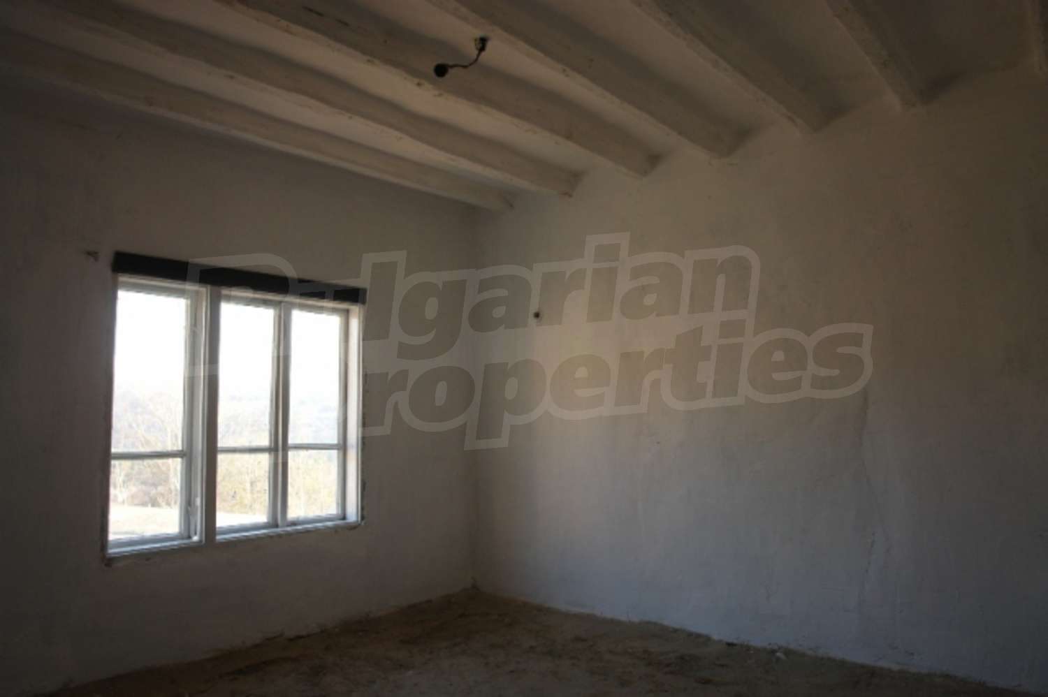 Gallery Picture 3