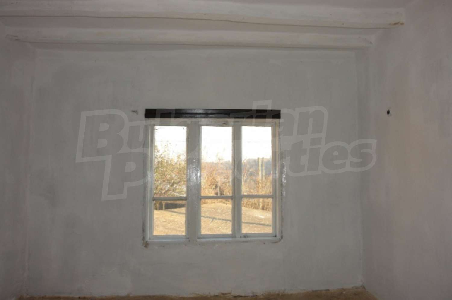 Gallery Picture 4