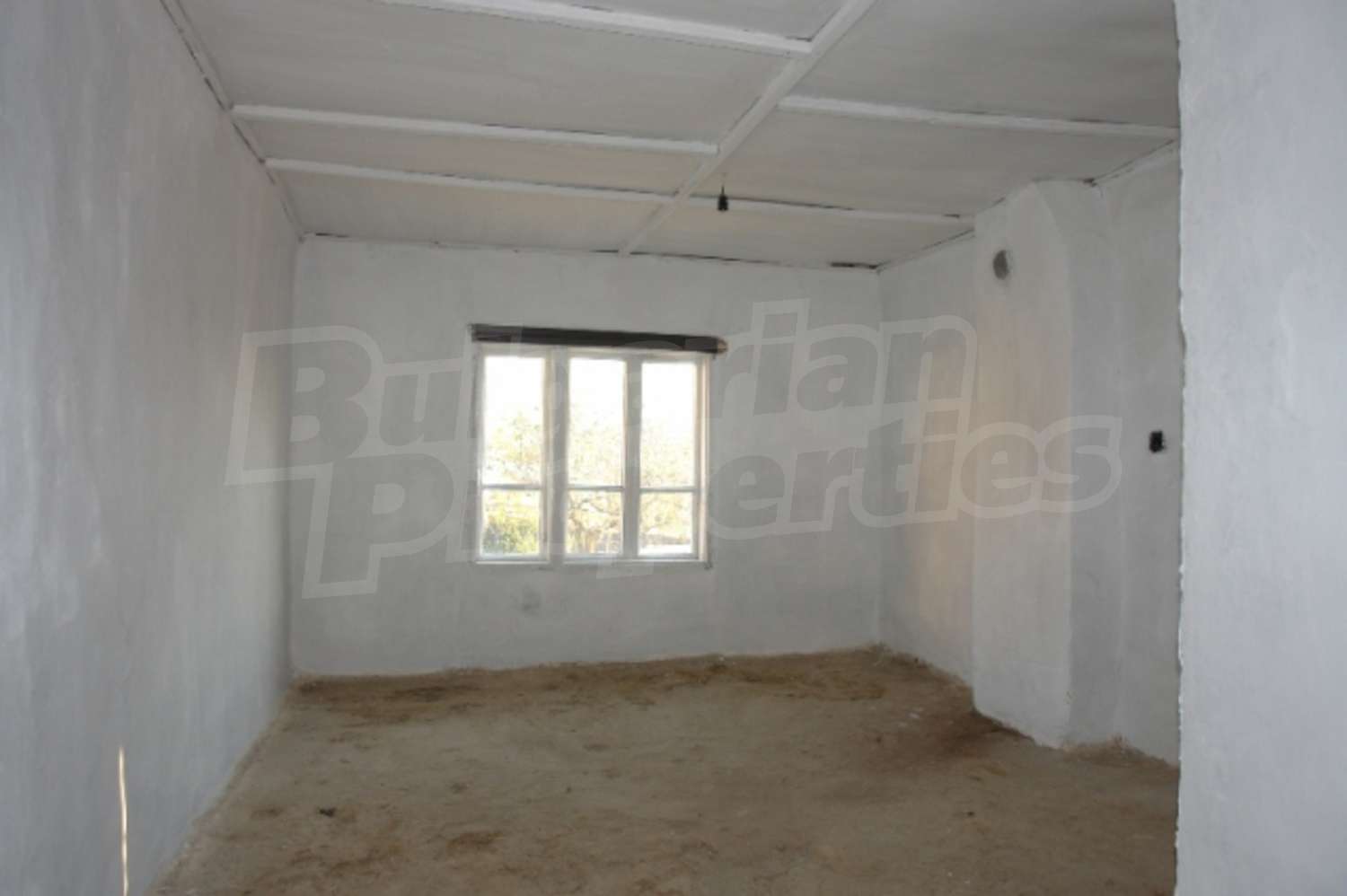 Gallery Picture 5