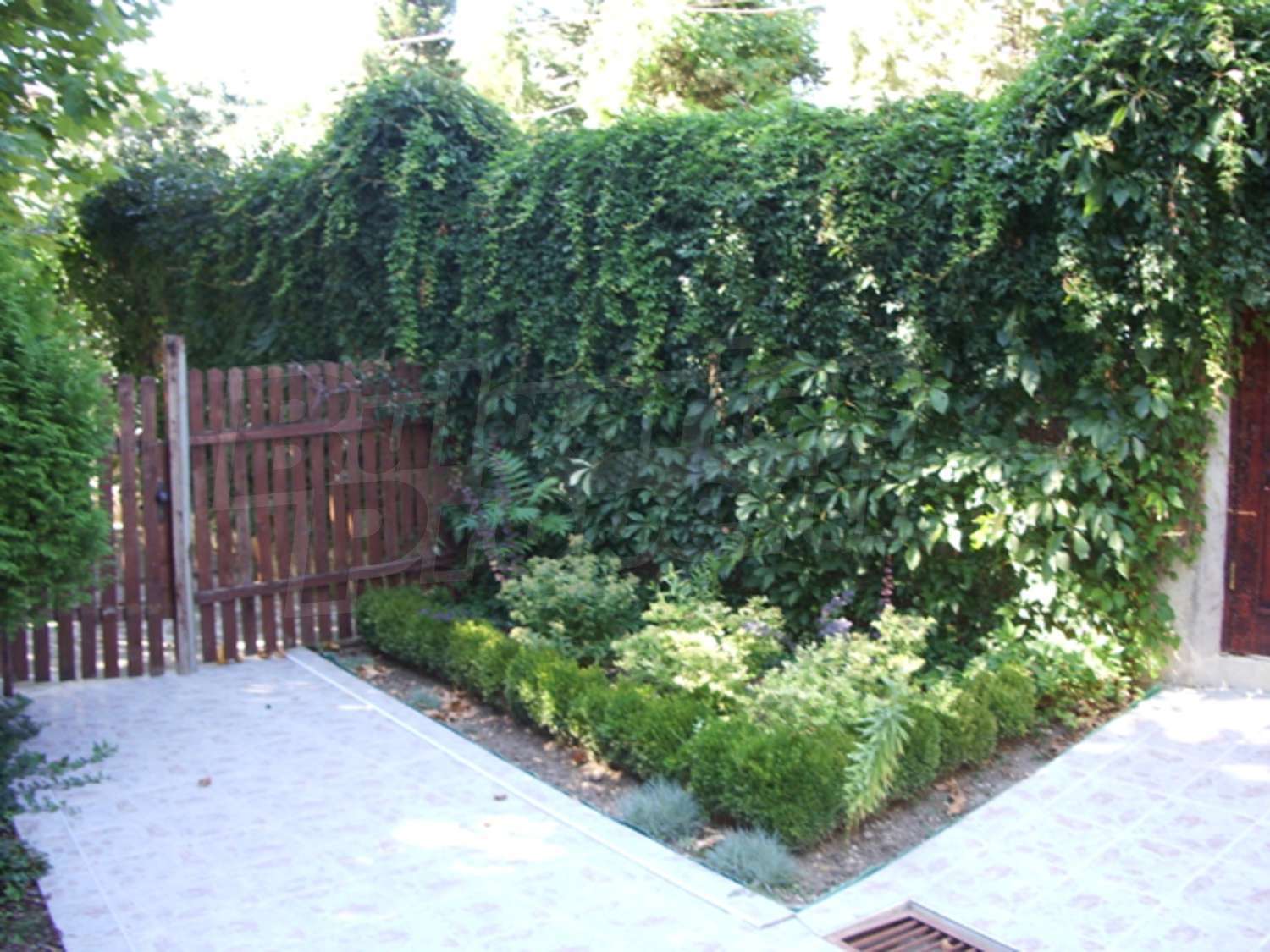 Gallery Picture 23