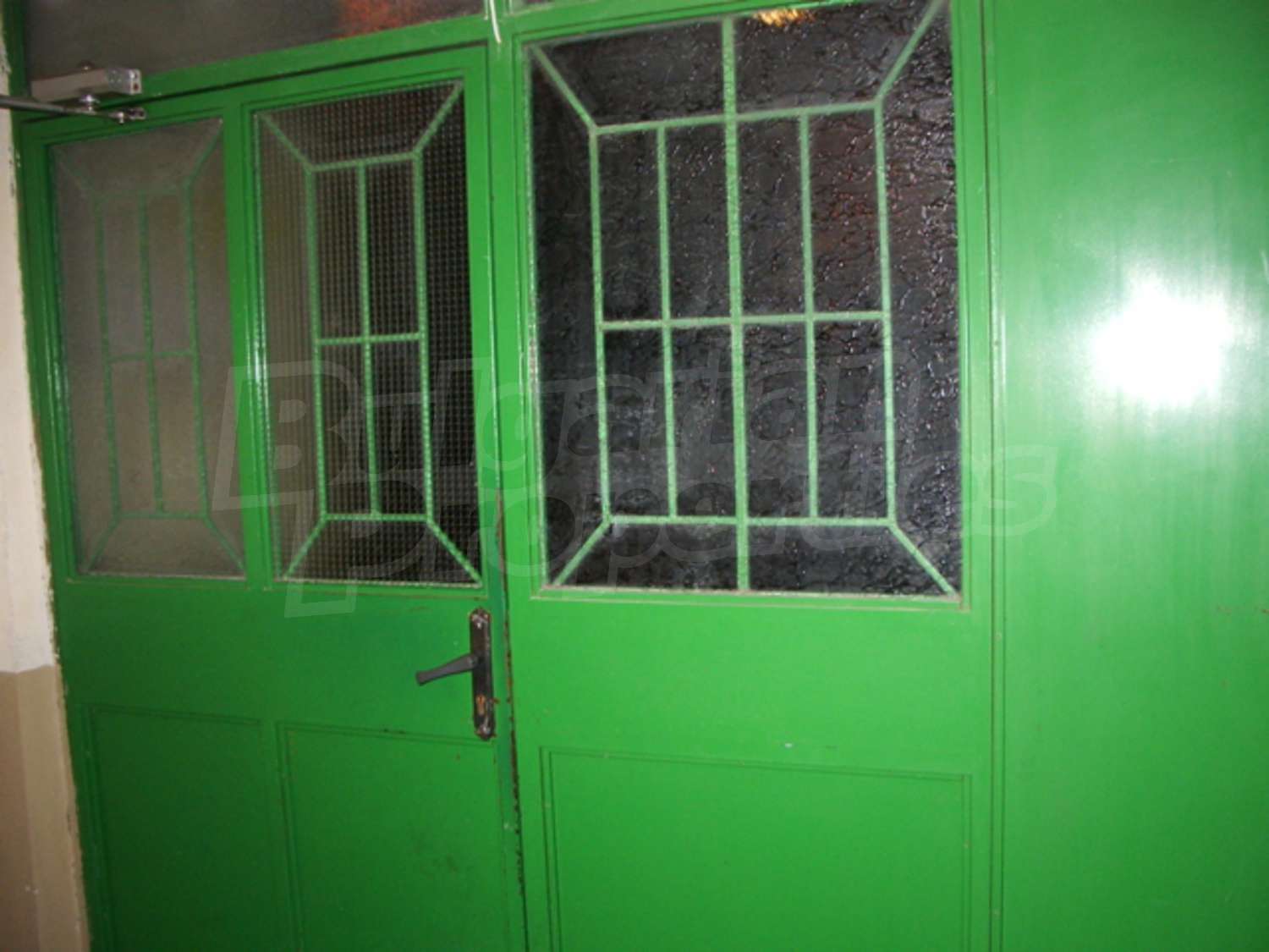 Gallery Picture 13