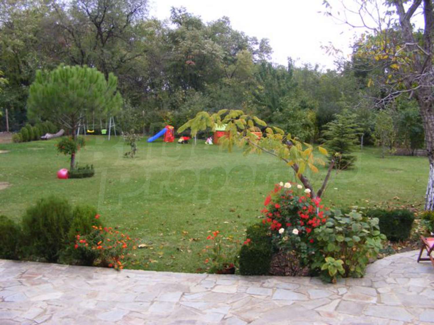 Gallery Picture 17